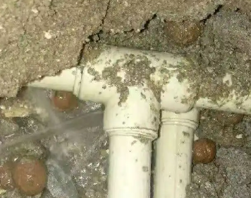 忠县测漏水多少钱