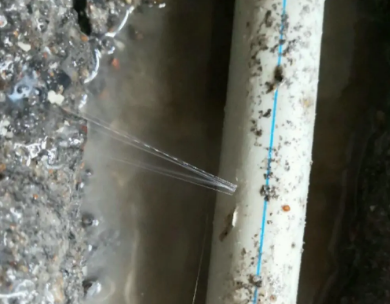 忠县测漏水哪家好