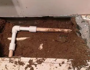 忠县测漏水哪家好