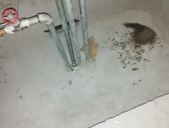 忠县卫生间测漏水价格明细