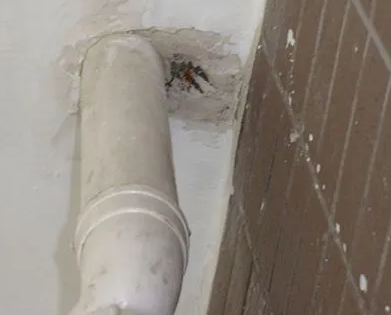 忠县漏水检测哪家好